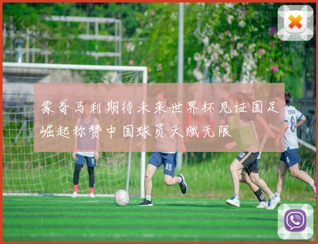蒙哥马利期待未来世界杯见证国足崛起称赞中国球员天赋无限